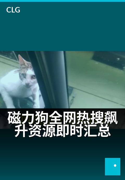 磁力狗全网热搜飙升资源即时汇总 - 热搜词汇风暴眼,磁力引擎实时捕捉全网热点