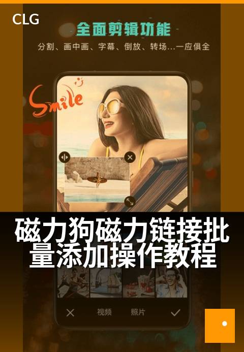 磁力狗磁力链接批量添加操作教程 - 批量添加磁力链接的实用操作指南