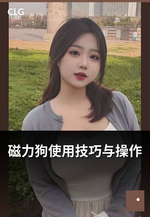 磁力狗使用技巧与操作 - 新手秒变老手的操作指南