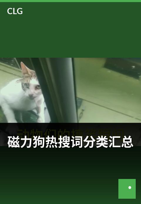 磁力狗热搜词分类汇总 - 热点趋势多维度解析