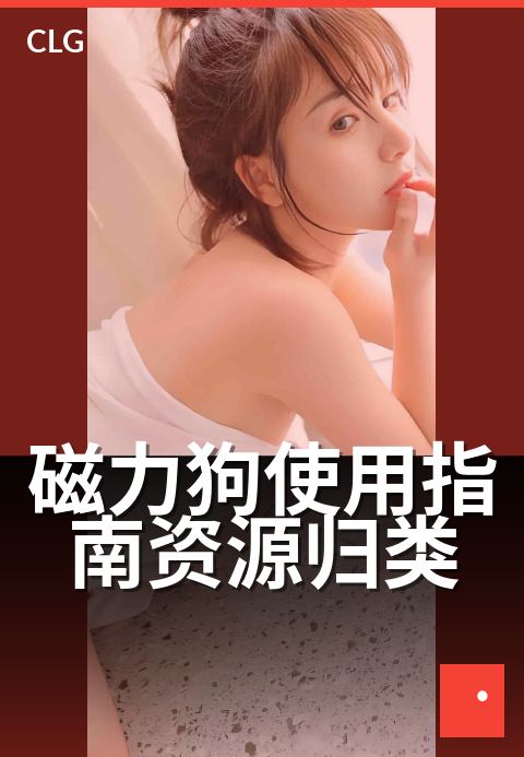 磁力狗使用指南资源归类 - 新手必看：快速上手与技巧