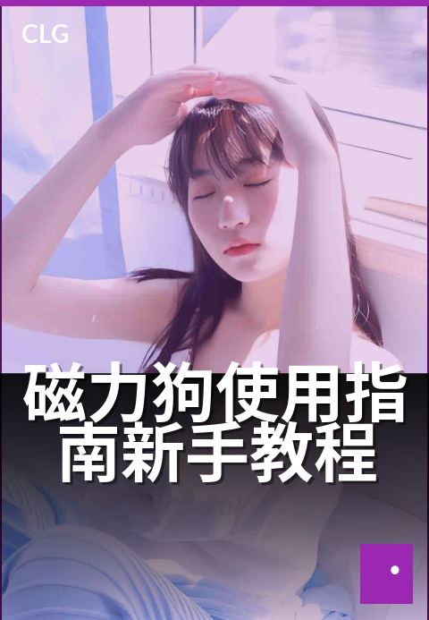 磁力狗使用指南新手教程 - 从零开始，轻松上手磁力搜索