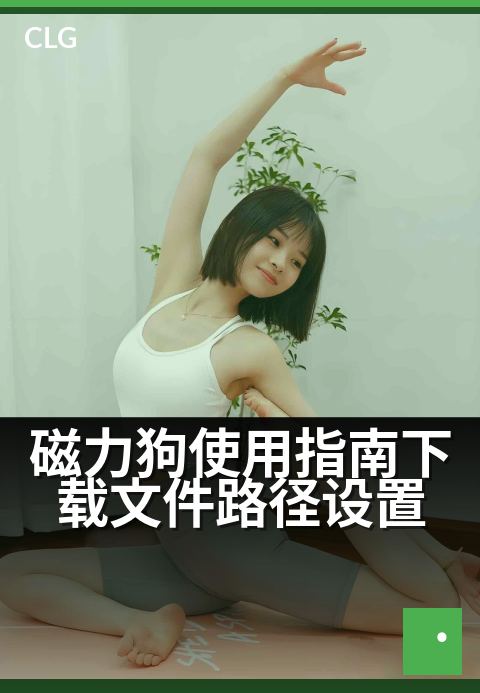 磁力狗使用指南下载文件路径设置 - 三步调整路径，提升下载效率