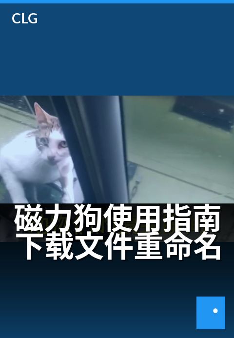 磁力狗使用指南下载文件重命名 - 三步搞定文件智能命名