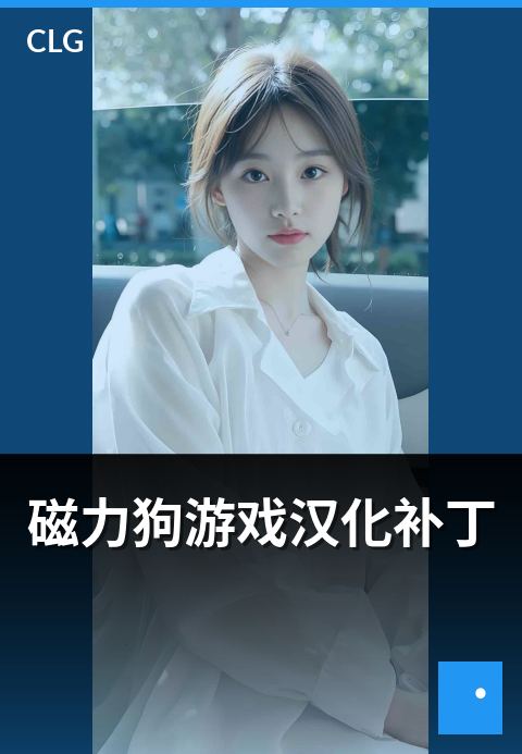 磁力狗游戏汉化补丁 - 游戏汉化补丁资源浏览要点