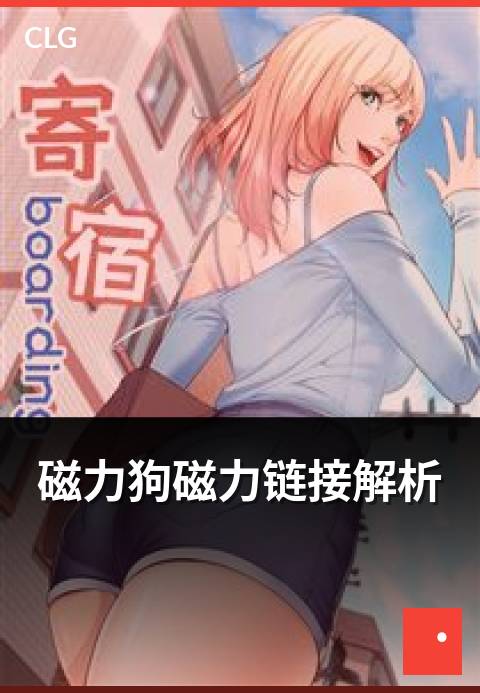 磁力狗磁力链接解析 - 磁力链接格式与原理解析
