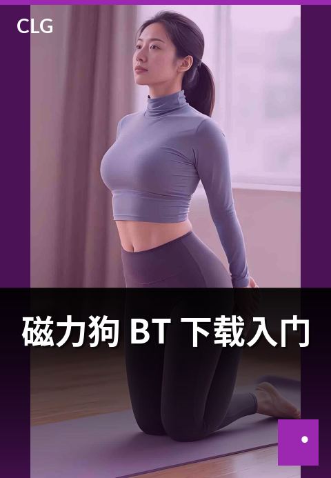 磁力狗 BT 下载入门 - BT 协议下载入门基础知识