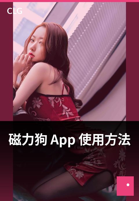 磁力狗 App 使用方法 - 移动端 App 操作要点说明