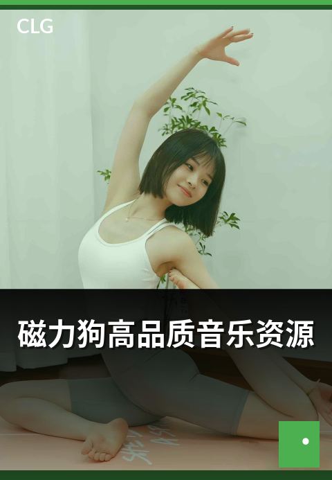 磁力狗高品质音乐资源 - 高品质音乐资源识别要点