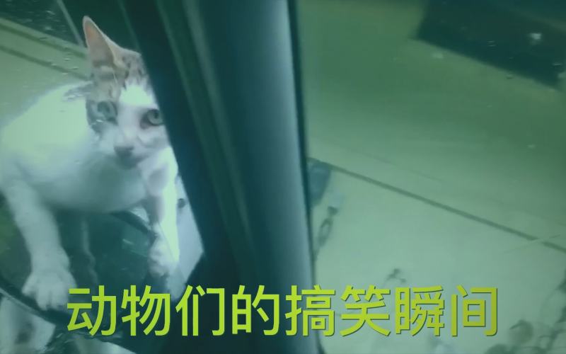 游戏磁力资源分类示意图