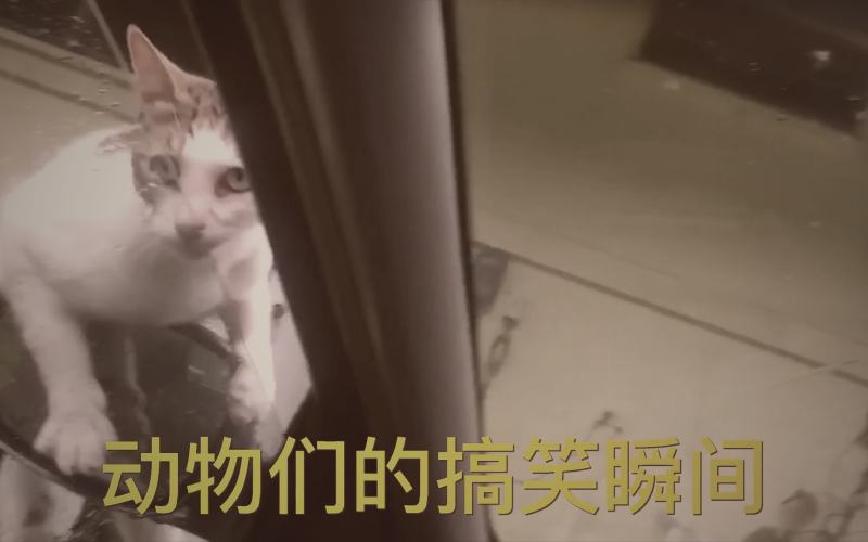 不同画质资源文件大小对比示意图